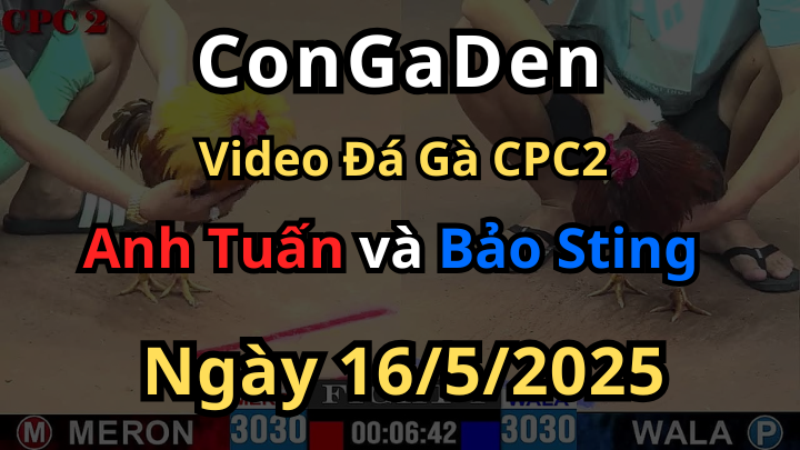 Idol Bảo Sting về sân nhà C2 vẫn bị ăn hành 16/5/2025