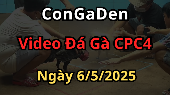 Bướm Hiệu đá như thần Điều bay ra ngoài bồ giữ mạng luôn CPC4 6/5/2025