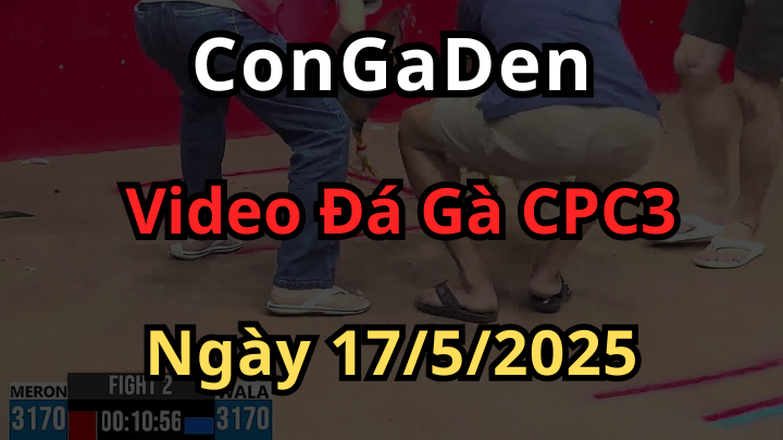 Video Đá Gà Trực Tiếp CPC3 ngày 17/5/2025 có Bình Luận