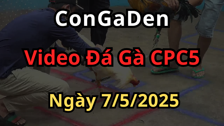 Pha mở bát làm anh em biện đổ mồ hôi CPC5 7/5/2025